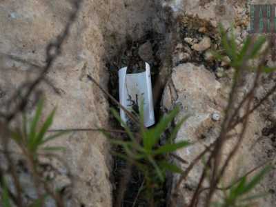 Una tomba con un cartellino numerato testimonia l'inizio degli studi mai completati dalla Soprintendenza archeologica 